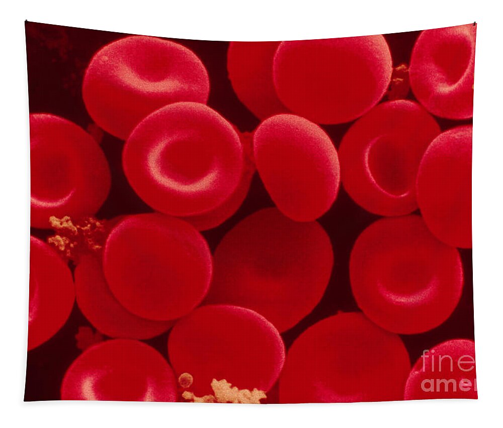 Erythrocyte Tapestry featuring the photograph Red Blood Cells by Scimat