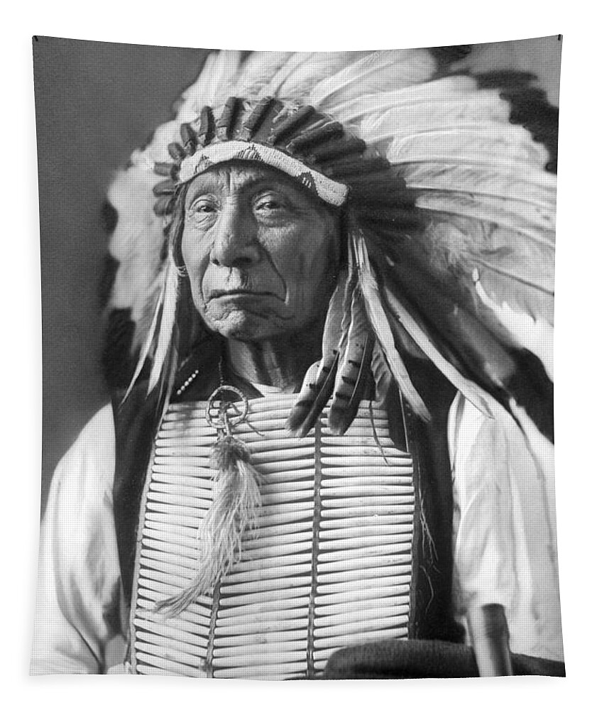 Red Tapestry featuring the photograph Red Cloud, Dakota Chief, wearing a headdress, 1880s by David Frances Barry