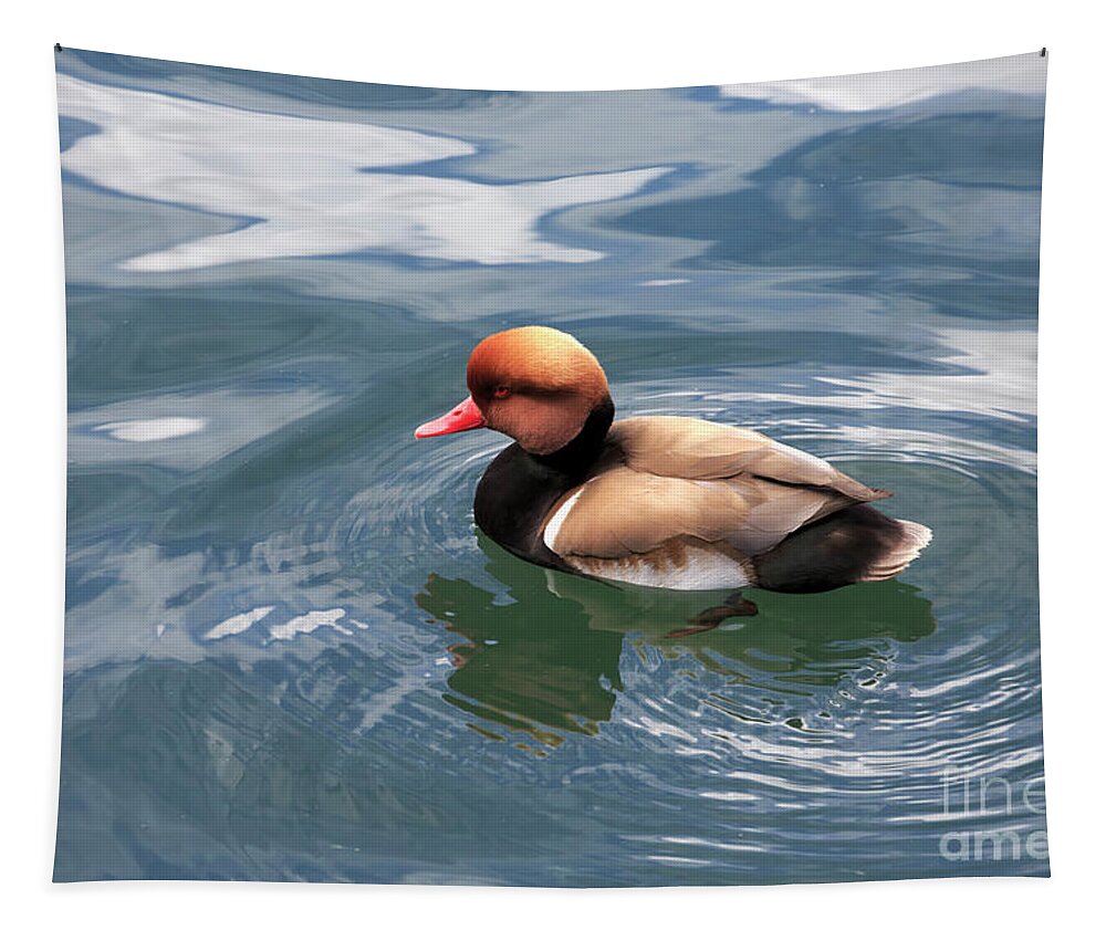 Red Crested Pochard Tapestry featuring the photograph Red crested pochard by Louise Heusinkveld