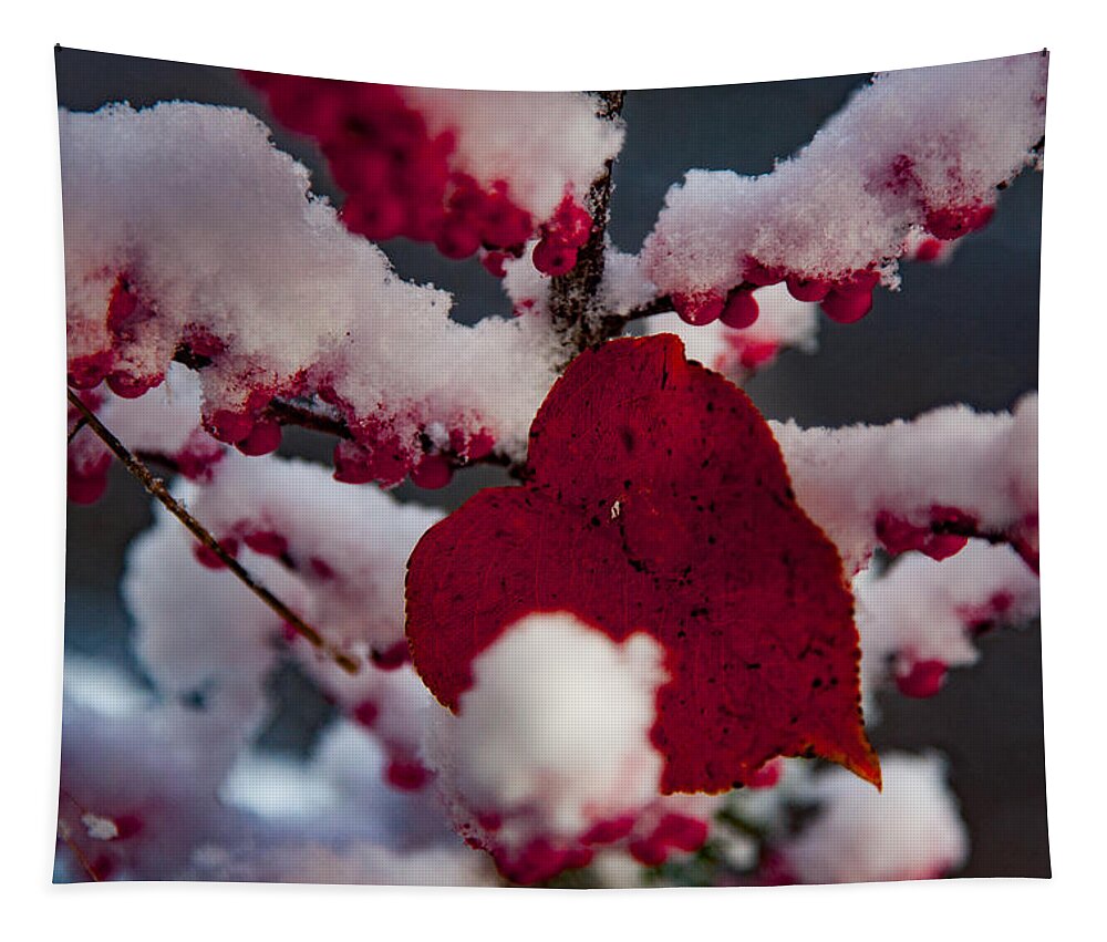 Salem Tapestry featuring the photograph Red fall leaf on snowy red berries by Jeff Folger