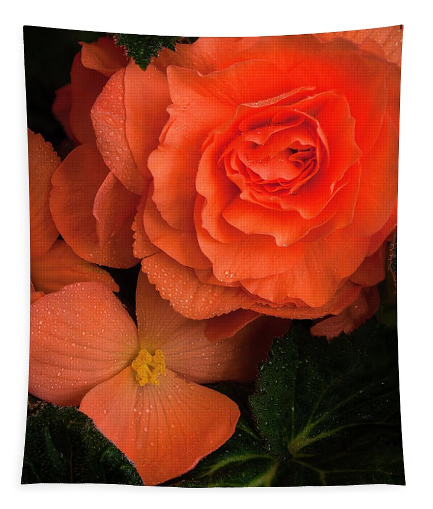 Red Flowers Tapestry featuring the photograph Red Giant Begonia Ruffle Form by John A Rodriguez