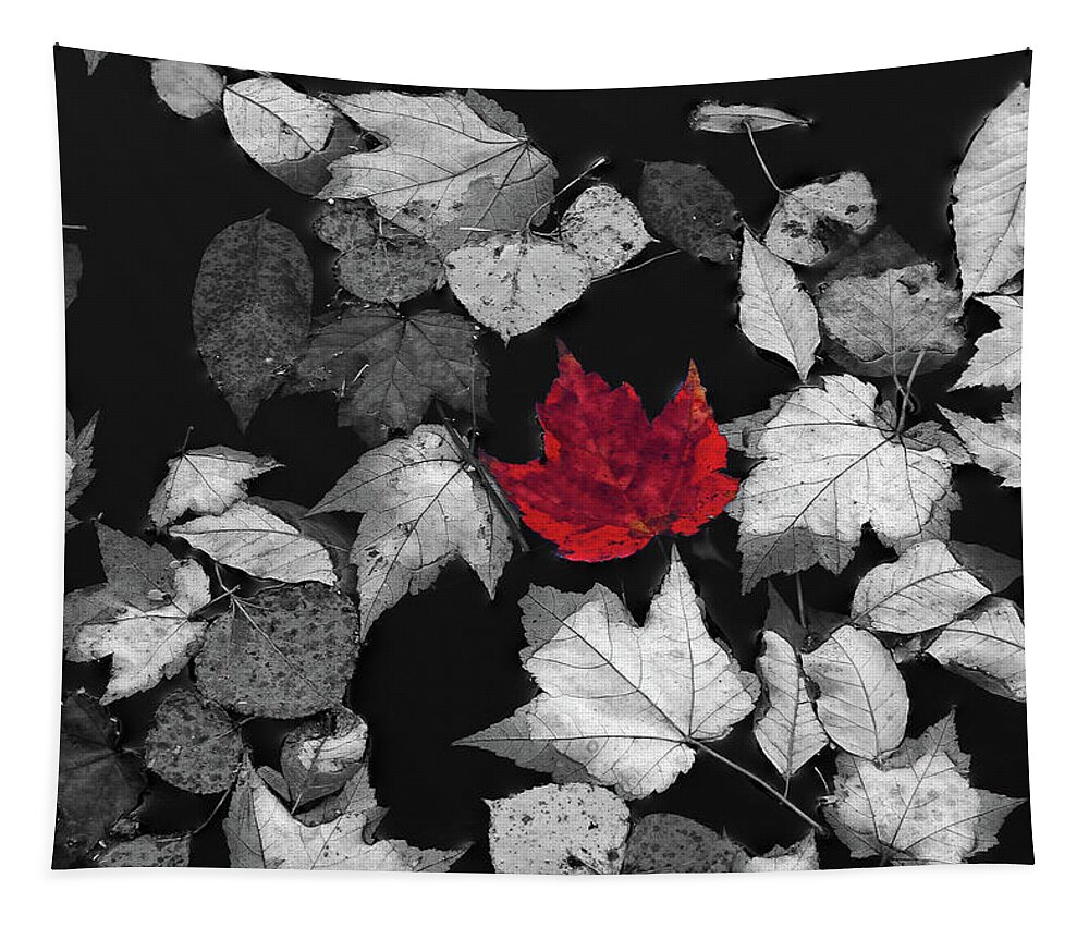 Selective Color Tapestry featuring the photograph Red Maple Leaf by Juergen Roth