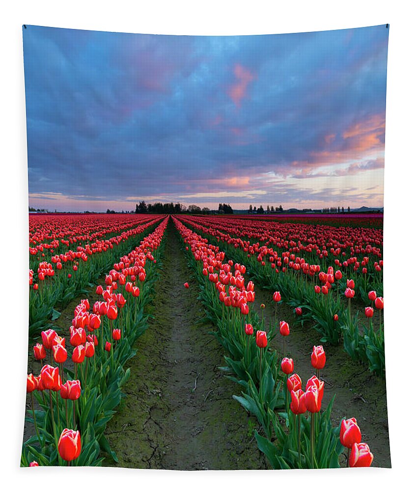 Tulips Tapestry featuring the photograph Red on Red by Michael Dawson
