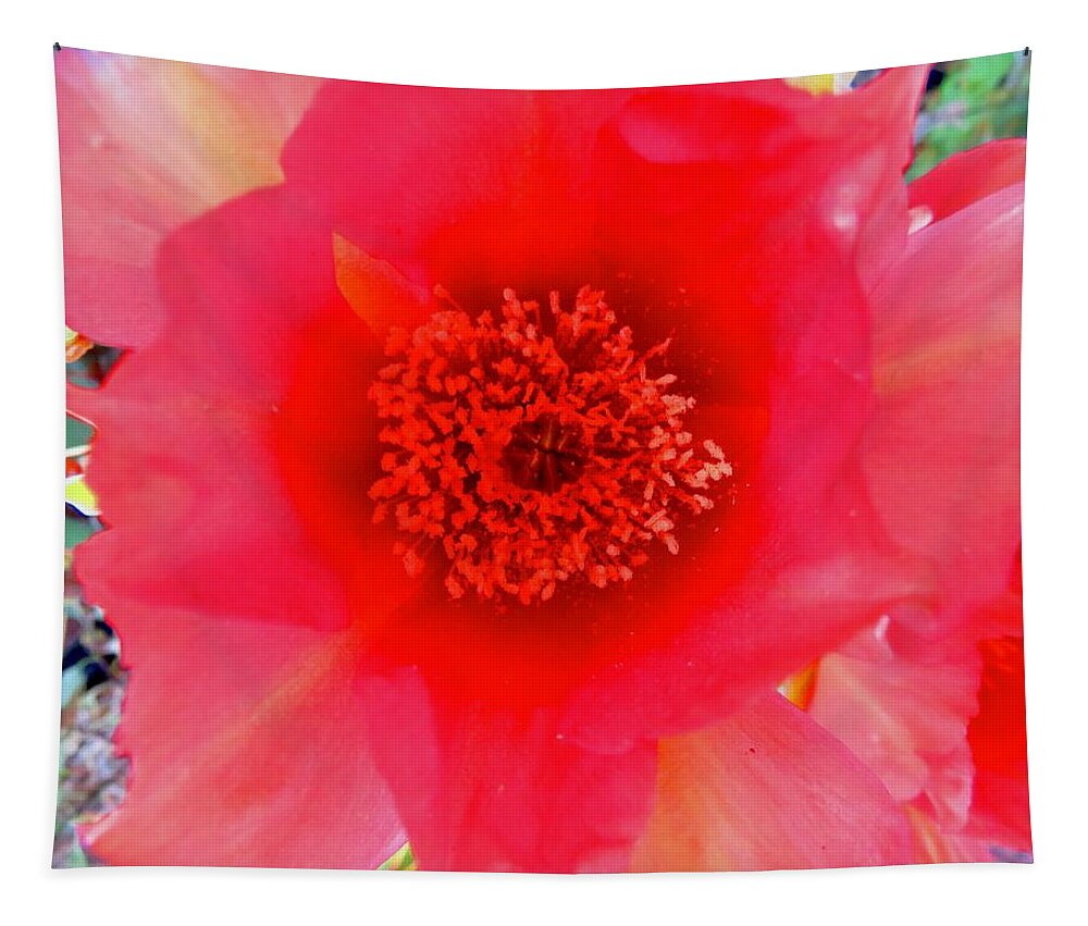 Arizona Tapestry featuring the photograph Red Prickly Pear Bloom 2 by Judy Kennedy