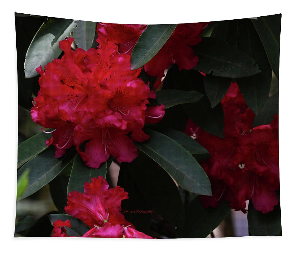 Rhododendron Tapestry featuring the photograph Red Rhododendron by Jeanette C Landstrom