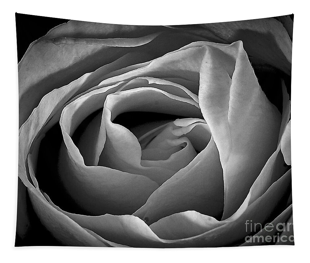 Santa Fe Tapestry featuring the photograph Red Rose in Infrared by Charles Muhle