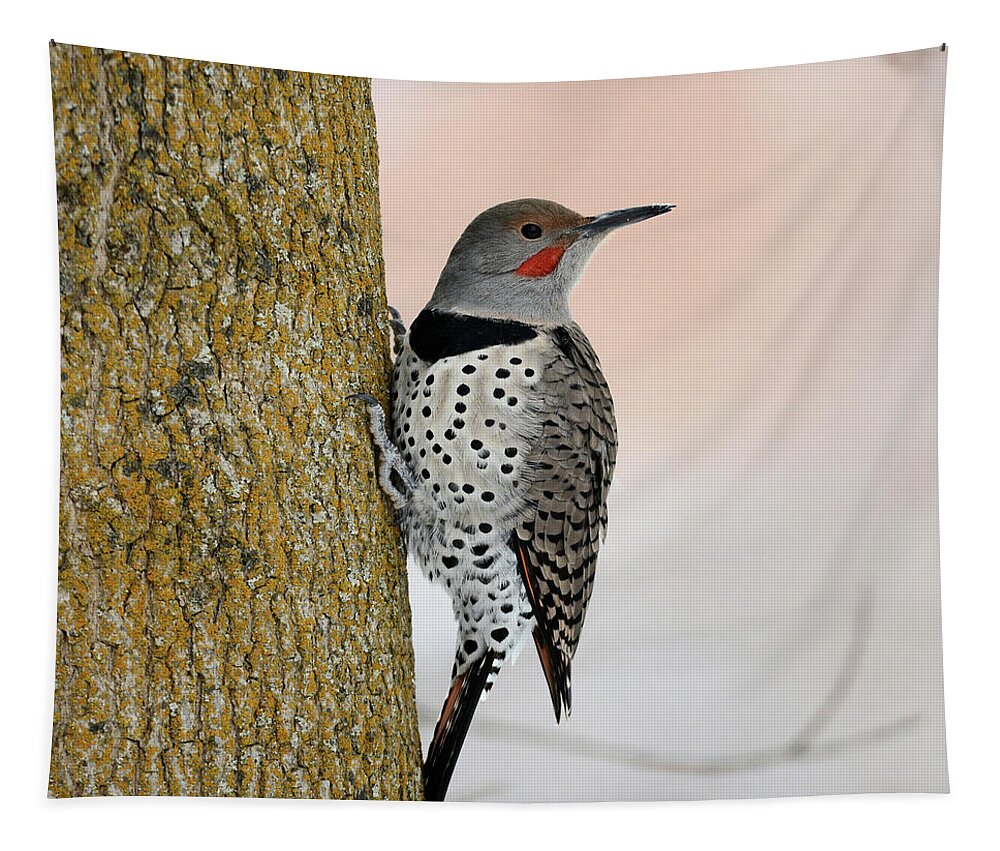 Northern Flicker Tapestry featuring the photograph Red Shafted Northern Flicker by Whispering Peaks Photography