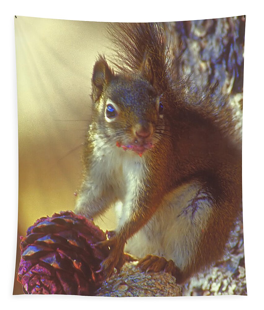 Squirrel Tapestry featuring the photograph Red Squirrel With Pine Cone by Gary Beeler