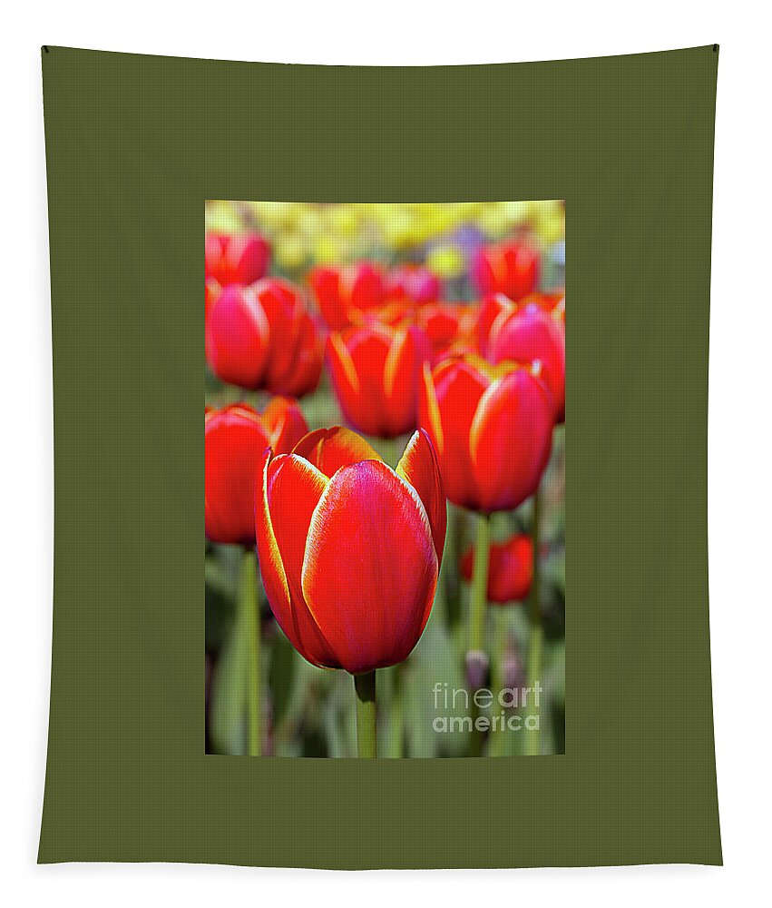 Tulips Tapestry featuring the photograph Red and Yellow Tulips I by Karen Jorstad
