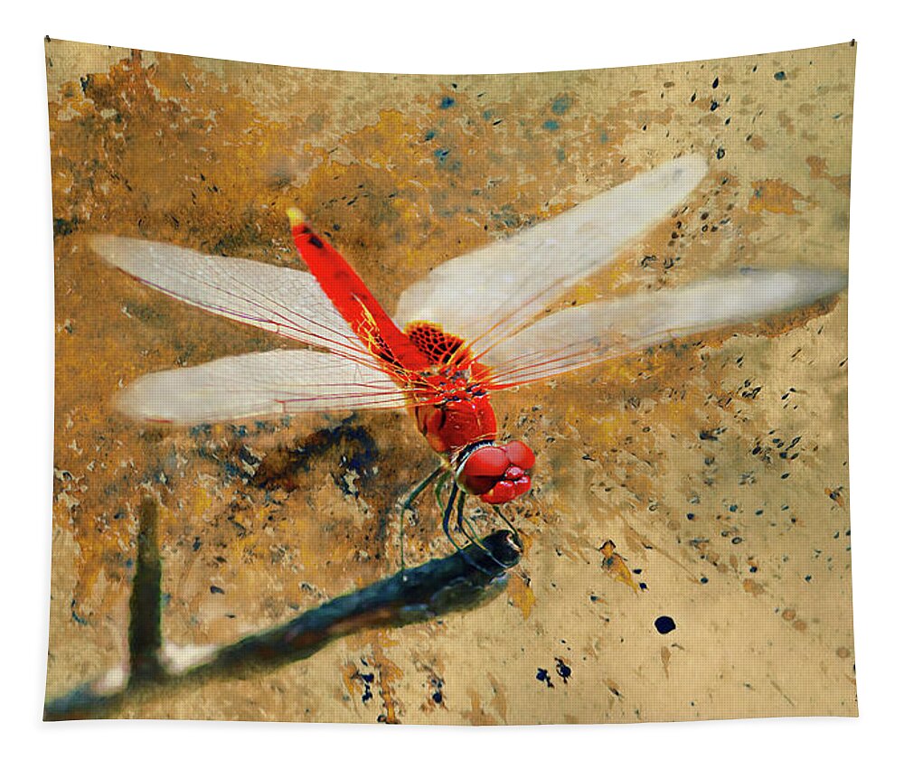 Red Veined Darter Dragonfly Tapestry featuring the photograph Red Veined Darter Dragonfly by Bellesouth Studio