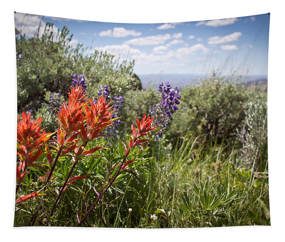 Nature Tapestry featuring the photograph Red White and Bloom - Muddy Mountain - Casper Wyoming by Diane Mintle