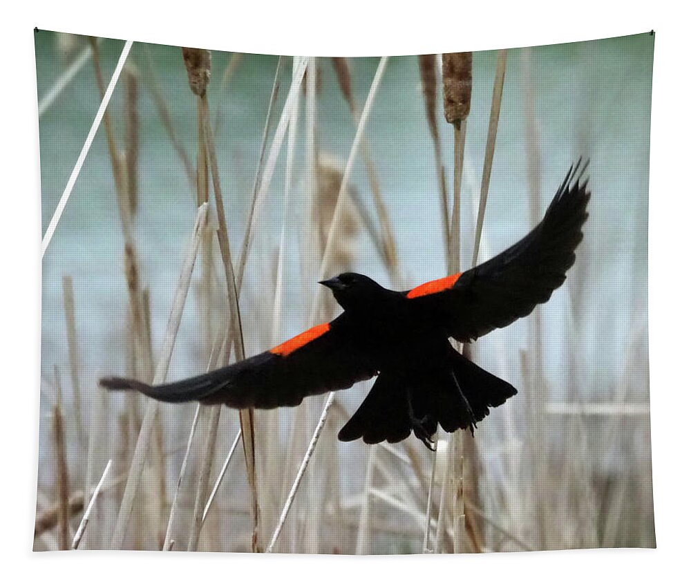 Bird Tapestry featuring the photograph Red-Winged Blackbird I by C H Apperson