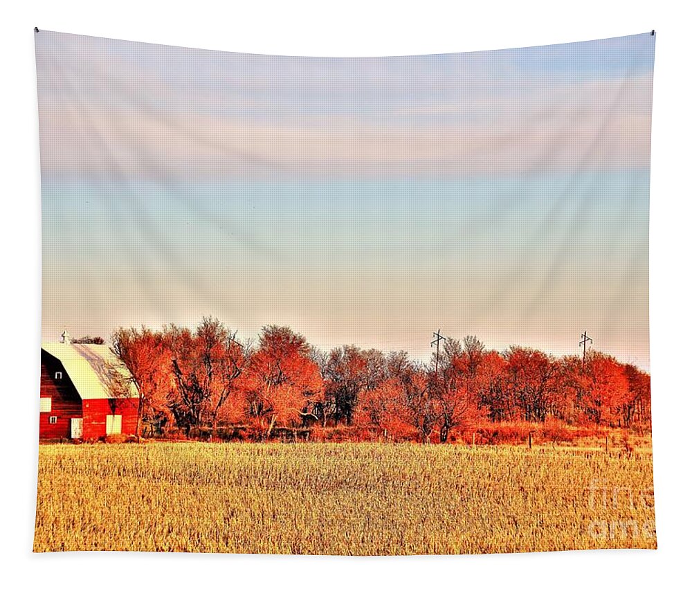 Barn Tapestry featuring the photograph Reds and Oranges by Merle Grenz