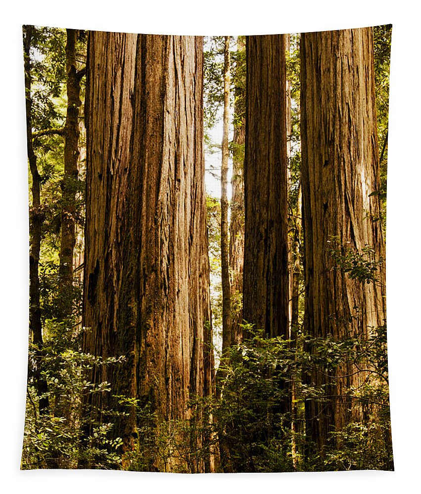 Redwoods Tapestry featuring the photograph Redwood Majesty by Vivian Christopher