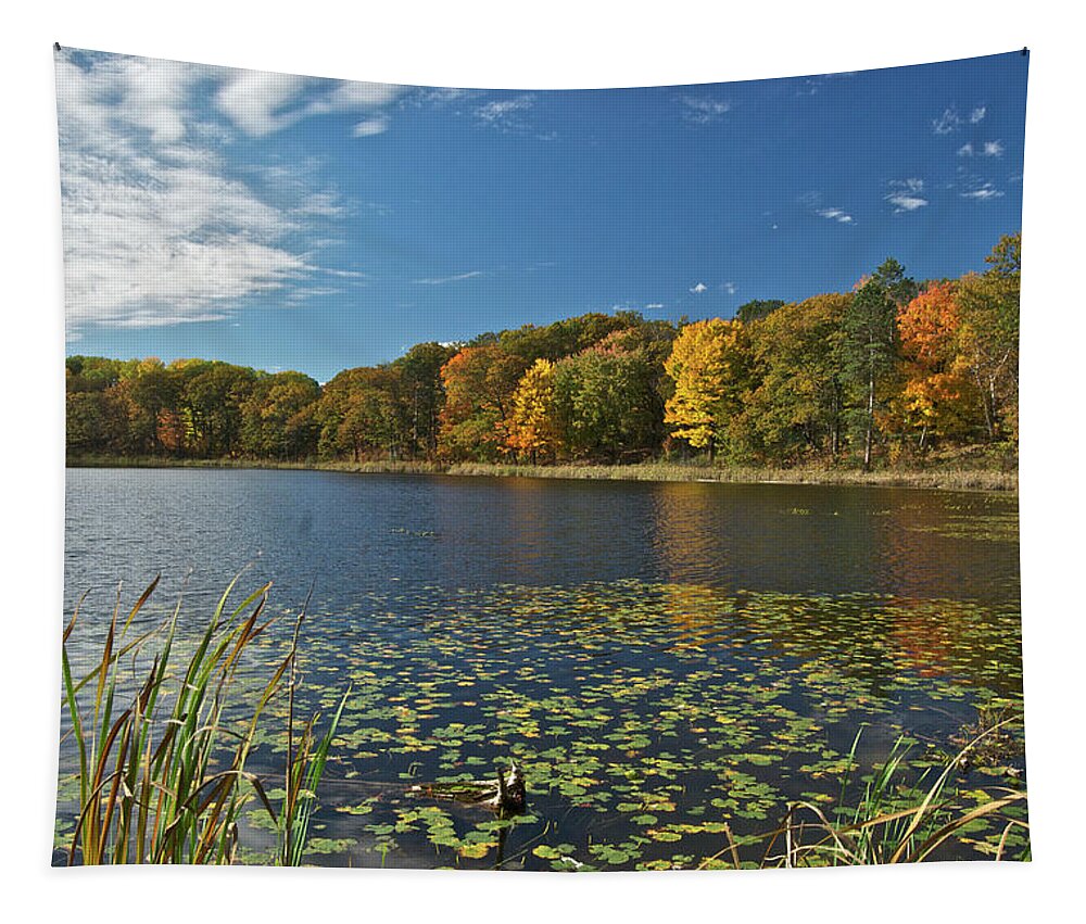 Lake Tapestry featuring the photograph Reed Lake 0162 by Michael Peychich