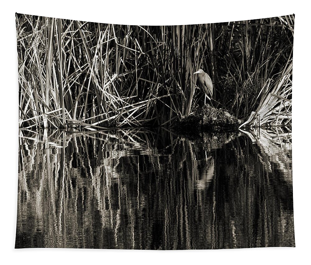 Little Blue Heron Tapestry featuring the photograph Reeds and Heron by Steven Sparks