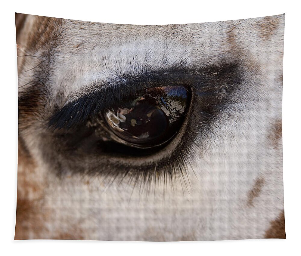 Giraffe Tapestry featuring the photograph Reflection of a Friend by David Yocum