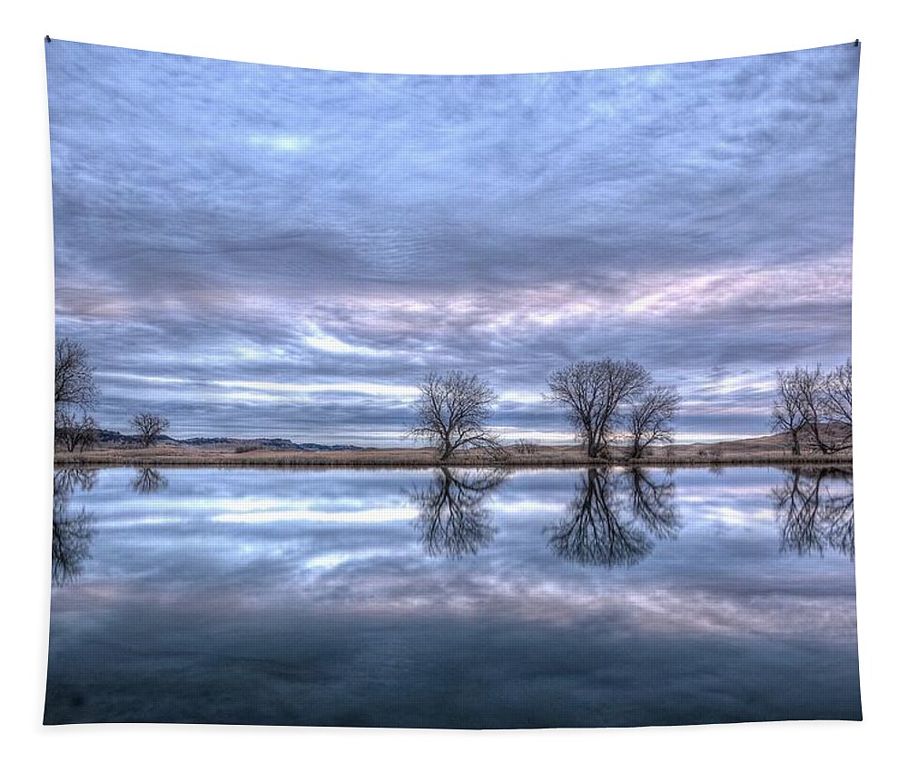 Landscape Tapestry featuring the photograph Reflections by Fiskr Larsen