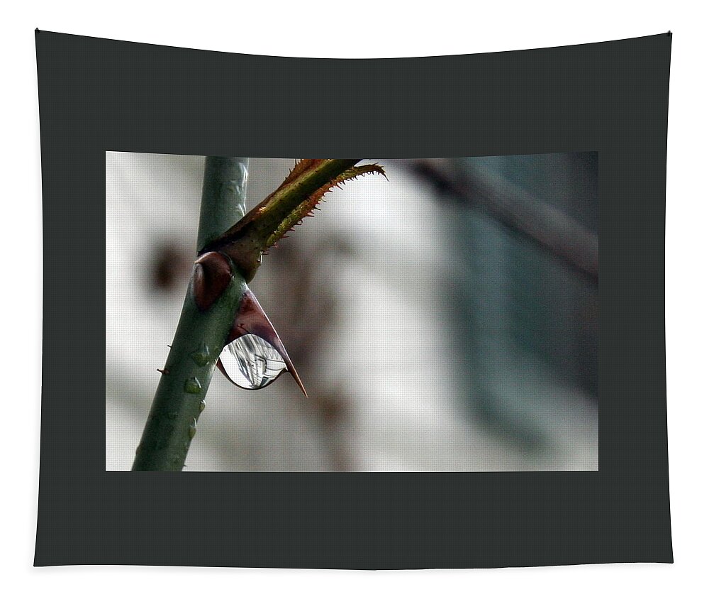 Horizontal Photo Tapestry featuring the photograph Reflections in a Rain Drop by Valerie Collins
