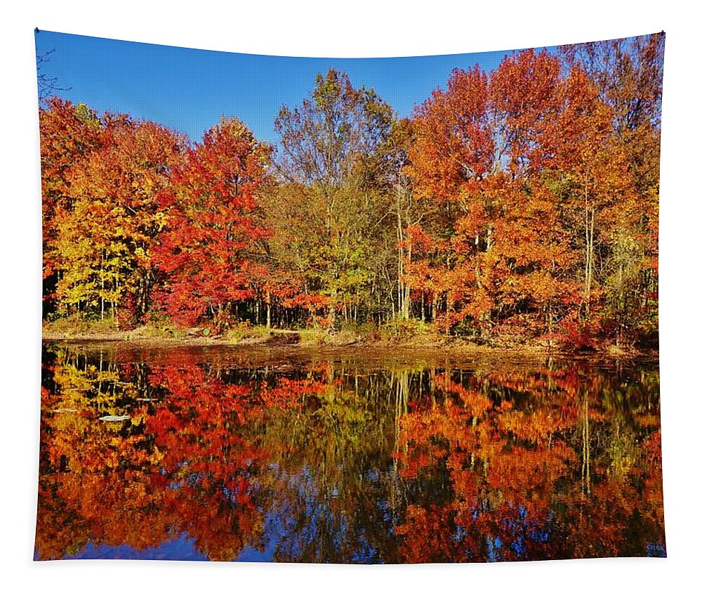 Autumn Tapestry featuring the photograph Reflections in Autumn by Ed Sweeney