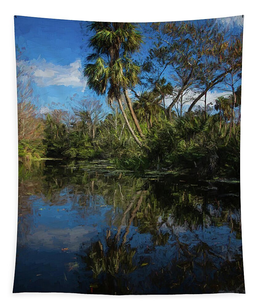 Clouds Tapestry featuring the photograph Reflections in the Tropics Oil Painting by Debra and Dave Vanderlaan