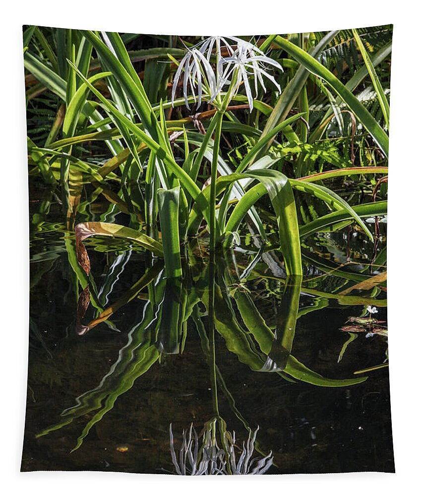 Everglades Tapestry featuring the photograph Reflections on the Edge of the Water by Debra and Dave Vanderlaan