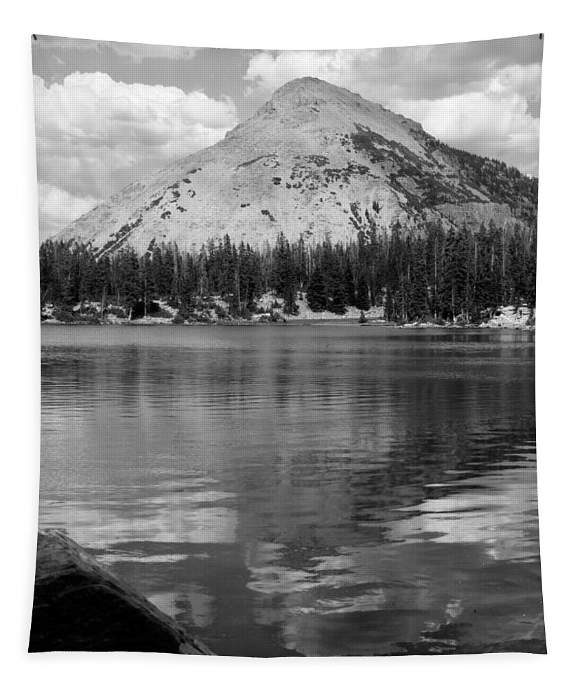 Water Tapestry featuring the photograph Reids Peak Black and White by Brett Pelletier