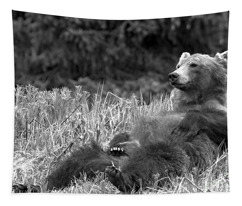 Grizzly Bear Tapestry featuring the photograph Relaxing Grizzly By Bow Lake by Adam Jewell