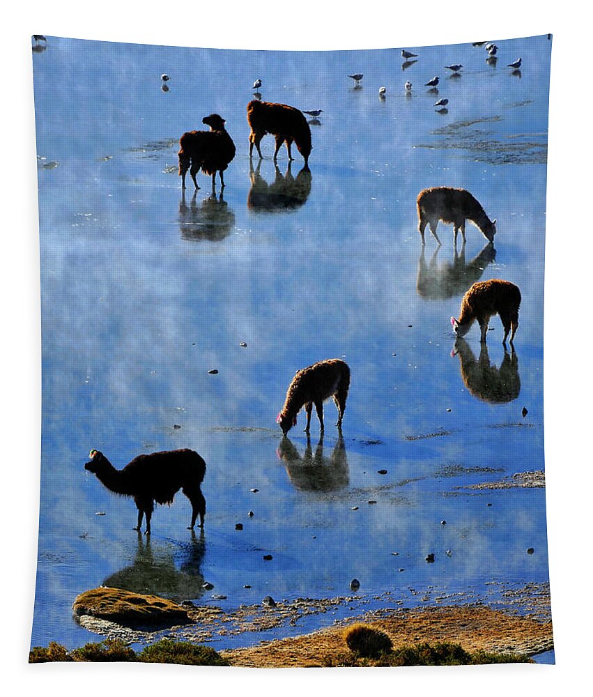 Rendezvous Tapestry featuring the photograph Rendezvous by Skip Hunt