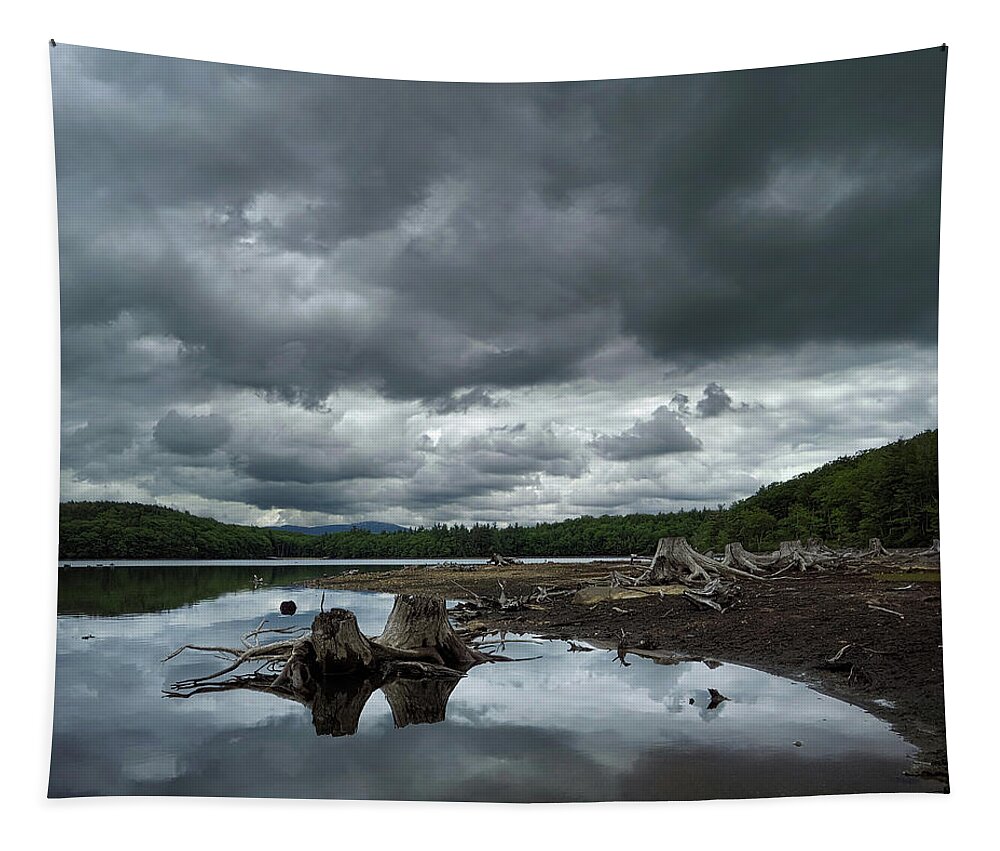 Reservoir Tapestry featuring the photograph Reservoir Logs by Jerry LoFaro