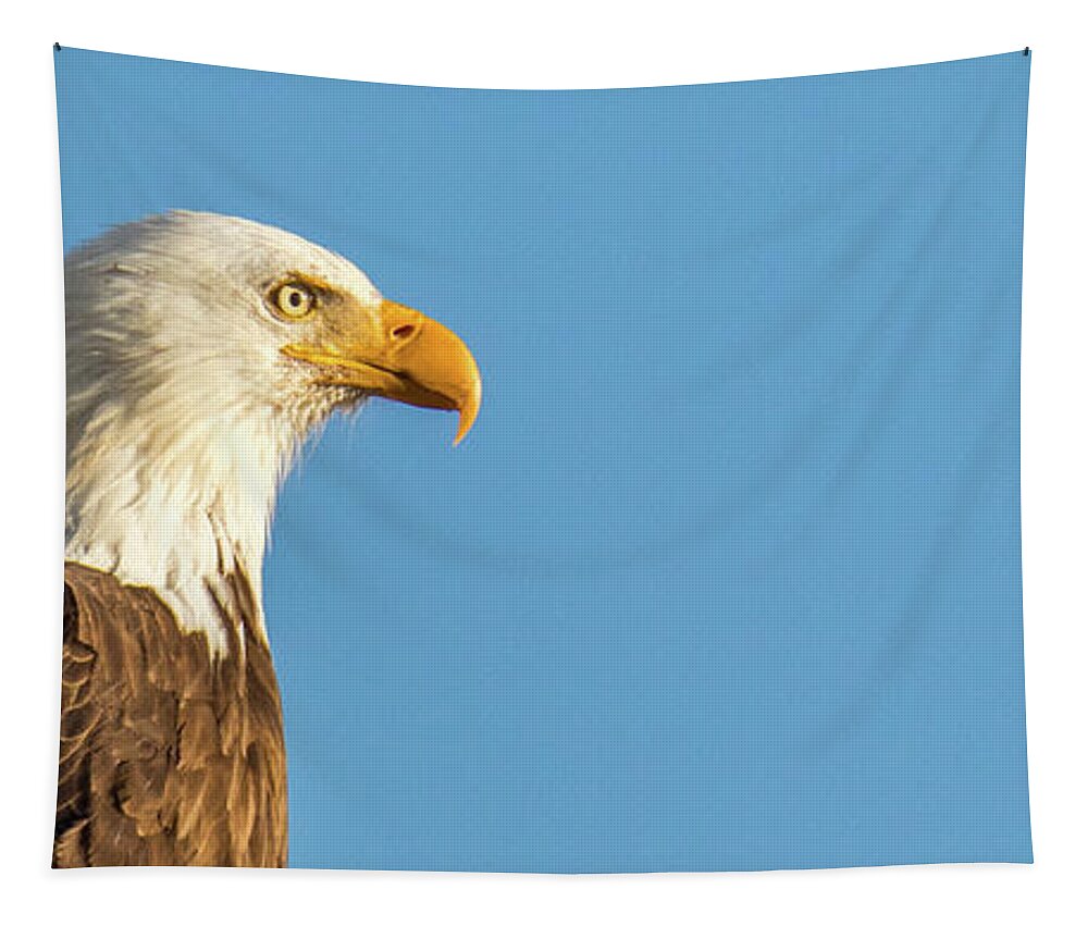 Eagle Tapestry featuring the photograph Reservoir Watch by Kevin Dietrich