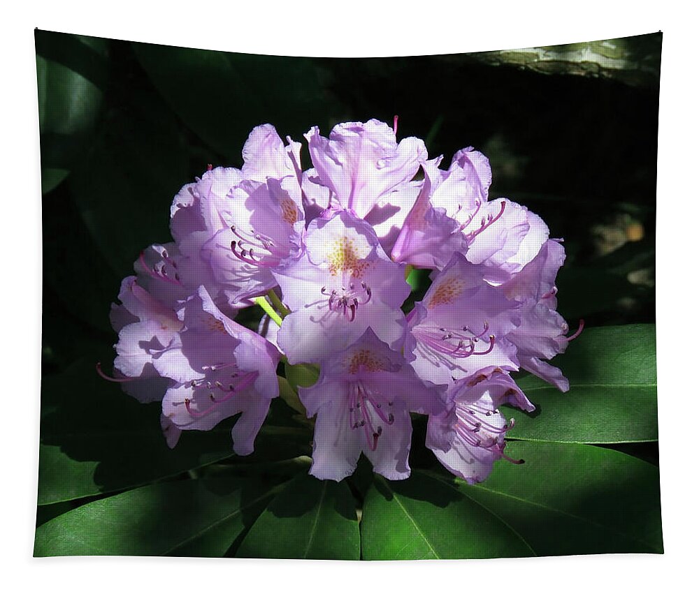 Flower Tapestry featuring the photograph Rhododendron In Bloom by Johanna Hurmerinta