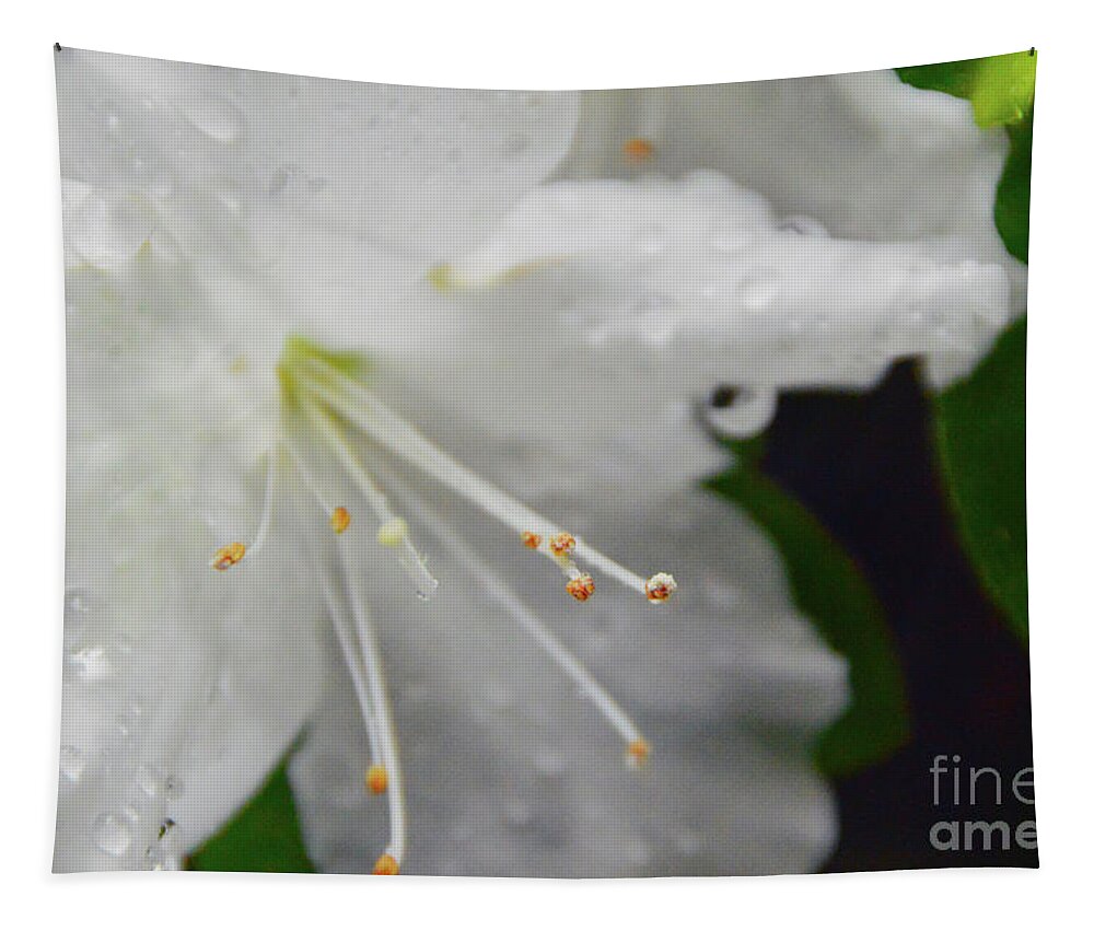  Tapestry featuring the photograph Rhododendron Blossom by Brian O'Kelly