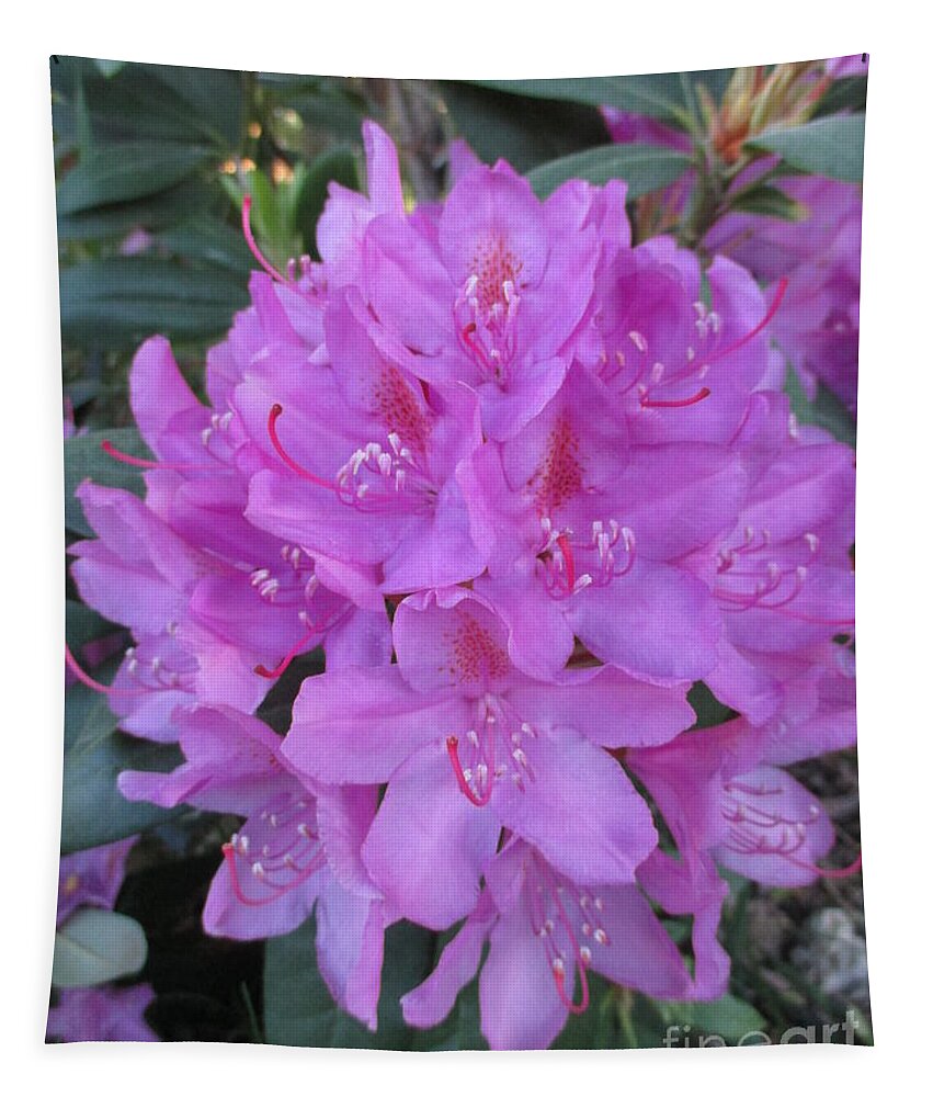 Purple Rhododendron Tapestry featuring the photograph Rhododendron Bouquet by Martin Howard