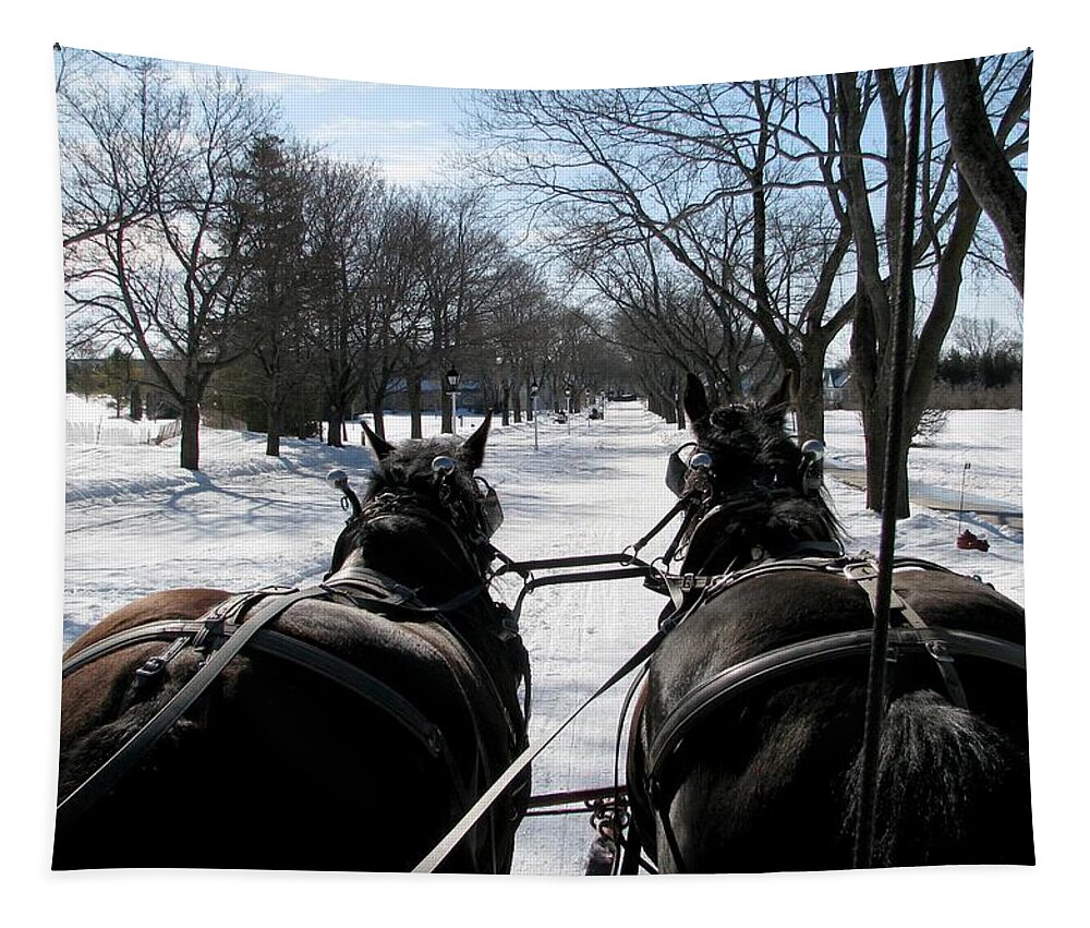 Winter Tapestry featuring the photograph Riding into Town by Keith Stokes