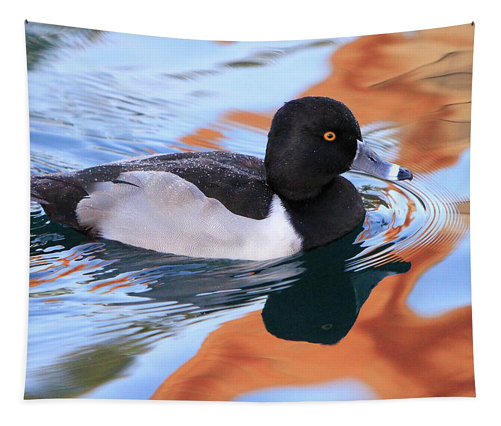 Ring-necked Duck Tapestry featuring the photograph Ring-Necked Duck by Shoal Hollingsworth