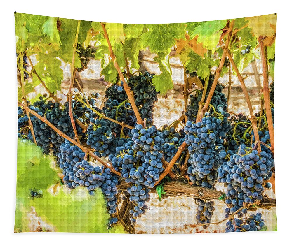 California Tapestry featuring the photograph Ripe Grapes on Vine by David Letts