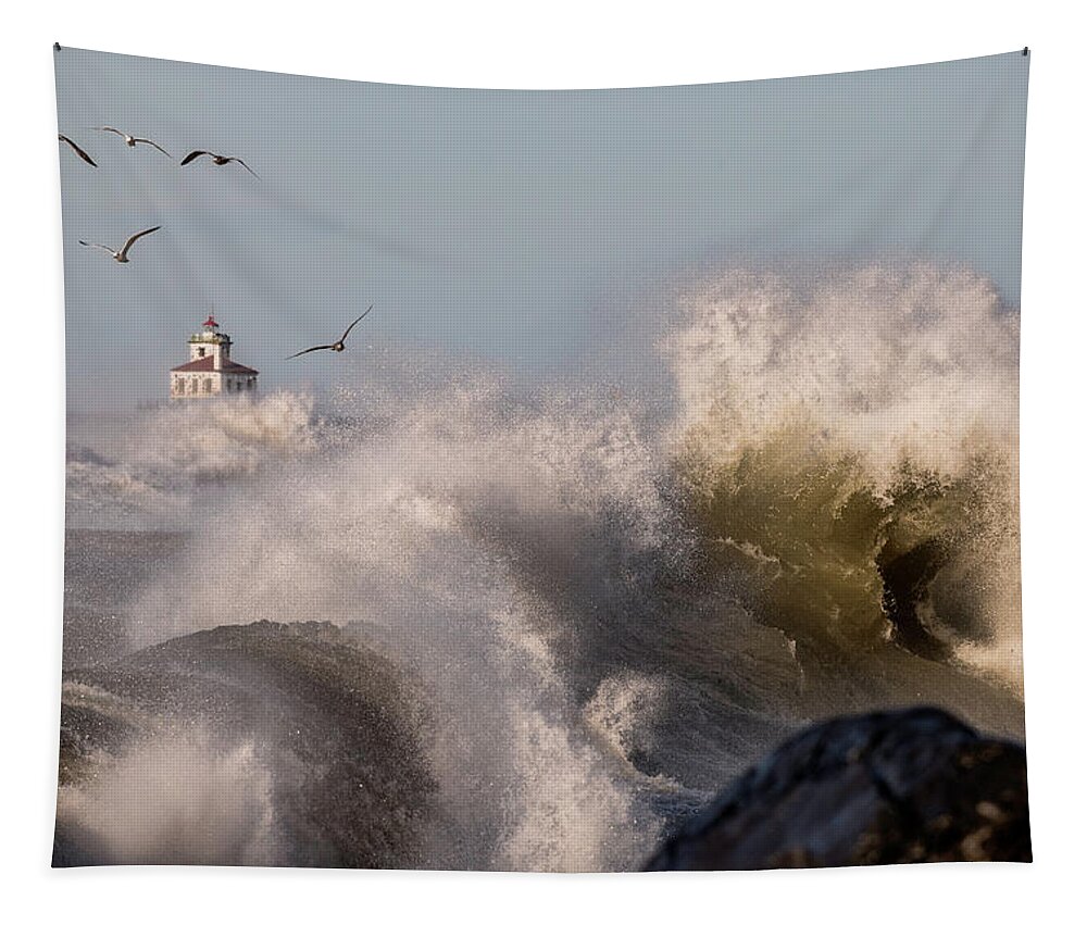 Oswego Tapestry featuring the photograph Rise Above The Turbulence by Everet Regal