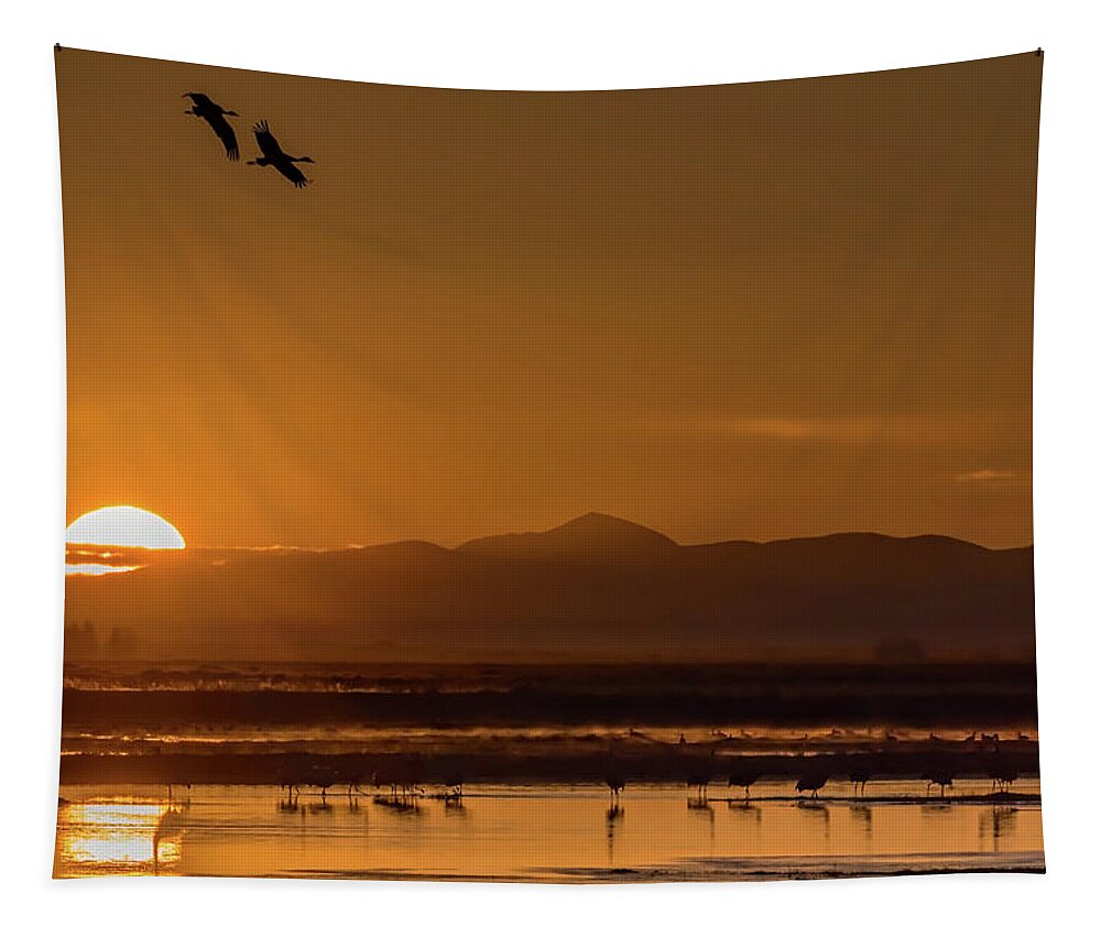 Sunrise Tapestry featuring the photograph Rise of the Fireball by Chuck Rasco Photography