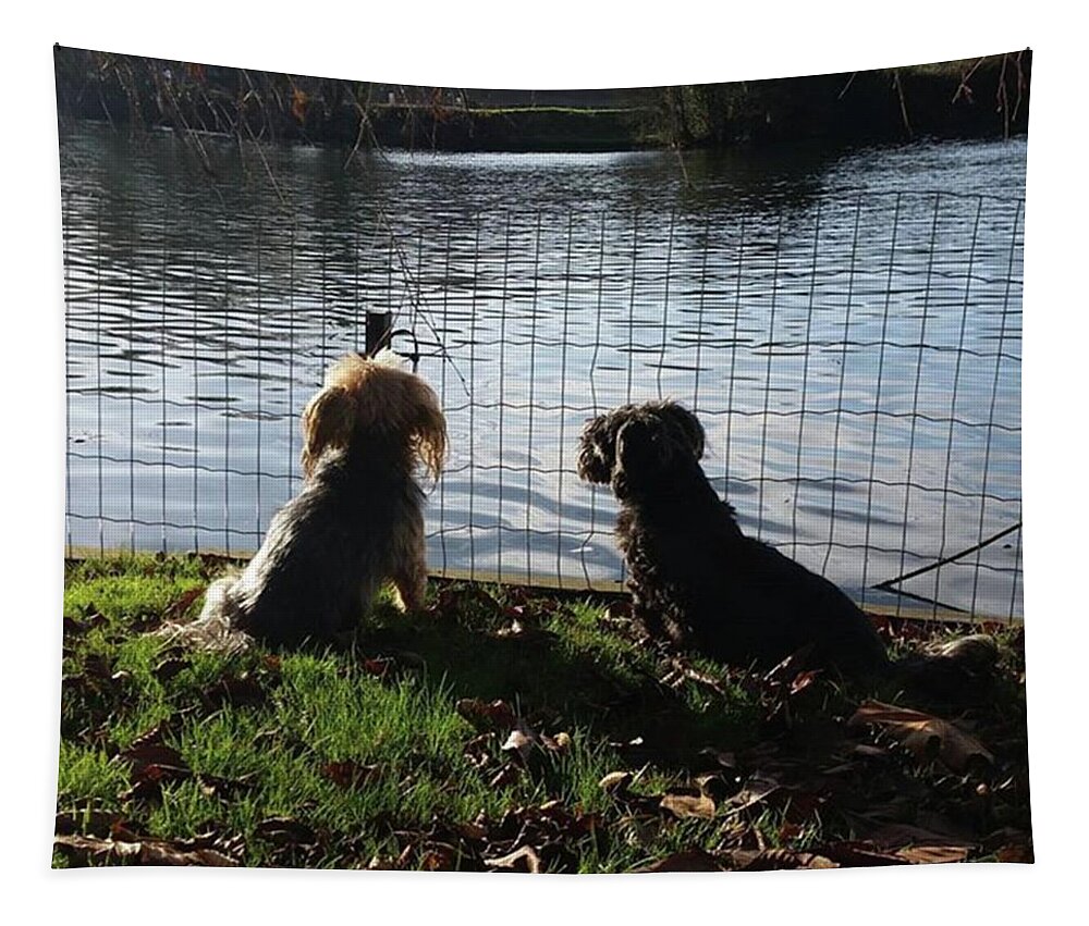 Dog Tapestry featuring the photograph River Gazing by Rowena Tutty