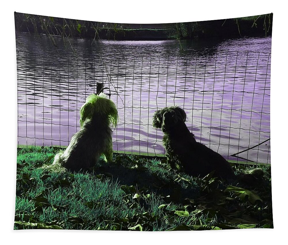 Dog Tapestry featuring the photograph River Gazing In Emerald Green by Rowena Tutty