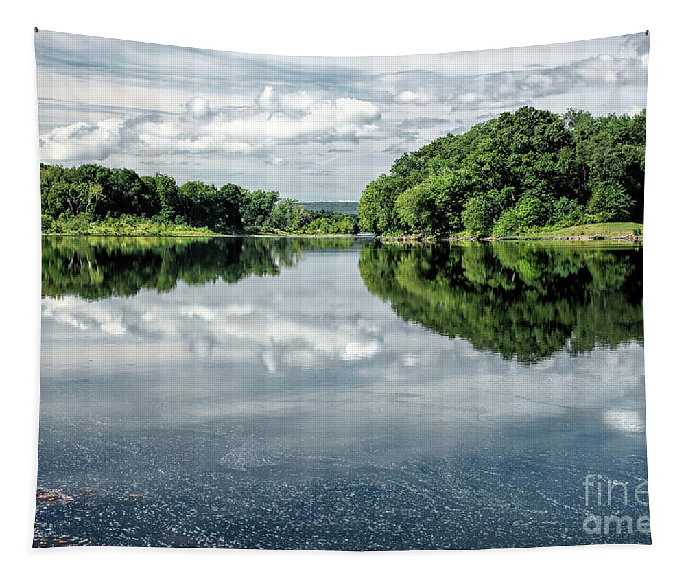 River Tapestry featuring the photograph River View by Nicki McManus