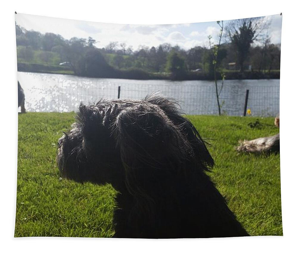 Dog Tapestry featuring the photograph River Watch by Rowena Tutty