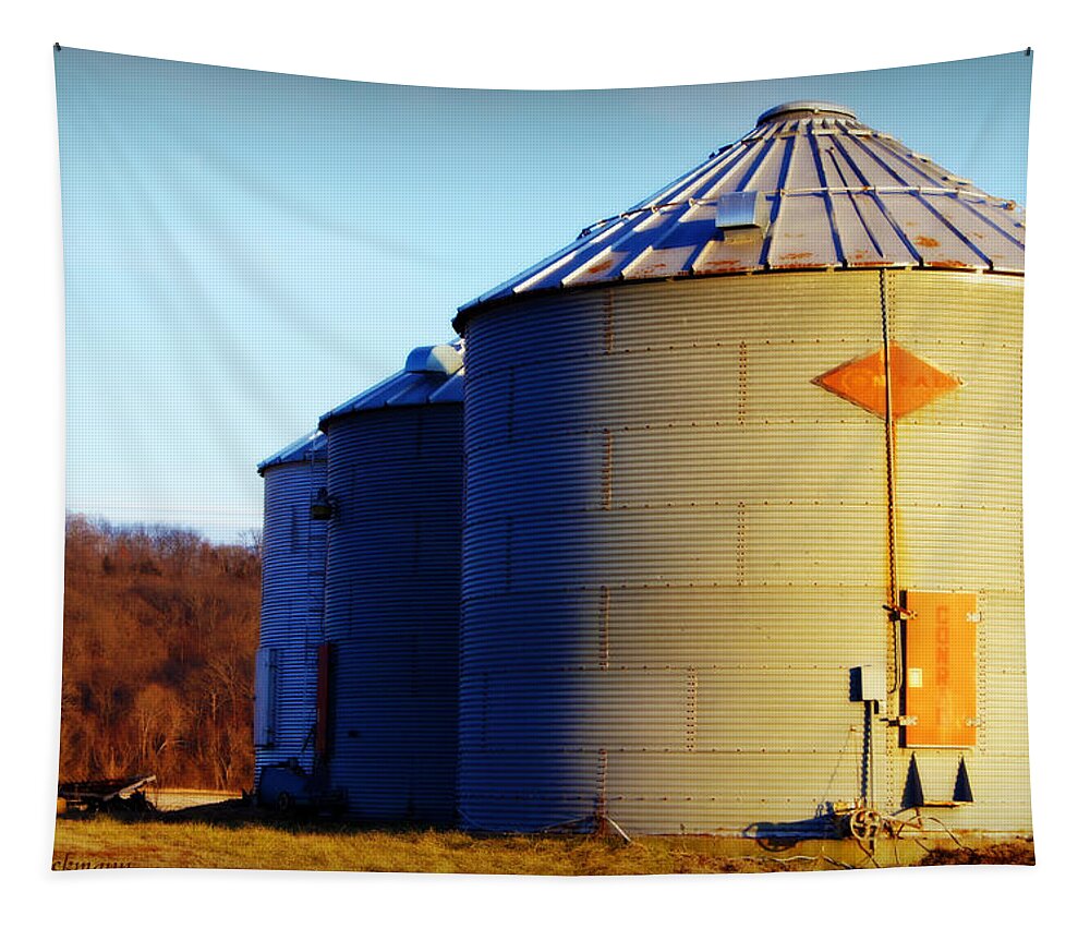 grain Bins Tapestry featuring the photograph Riverbottom Grain Bins by Cricket Hackmann