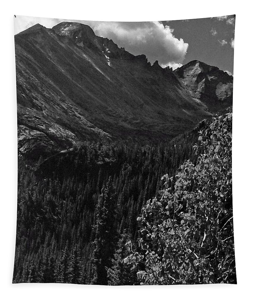 Rocky Mountain National Park Tapestry featuring the photograph RMNP - Infrared 23 by Pamela Critchlow