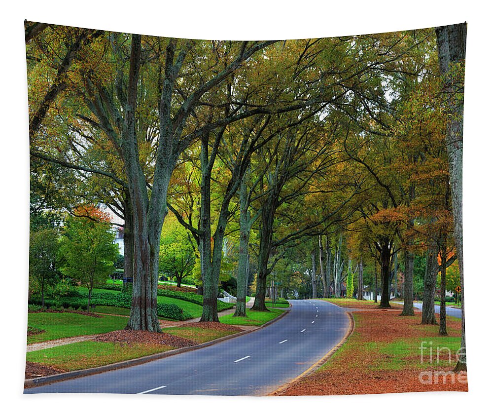 Willow Tapestry featuring the photograph Road in Charlotte by Jill Lang