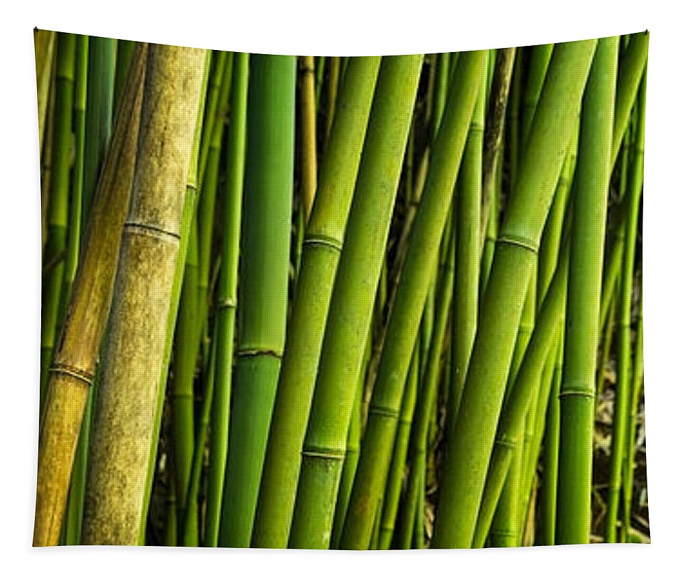 Road To Hana Tapestry featuring the photograph Road To Hana Bamboo Panorama - Maui Hawaii by Brian Harig