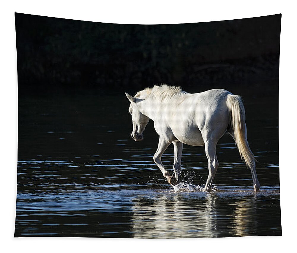 Wild Horses Tapestry featuring the photograph Roam Free by Saija Lehtonen