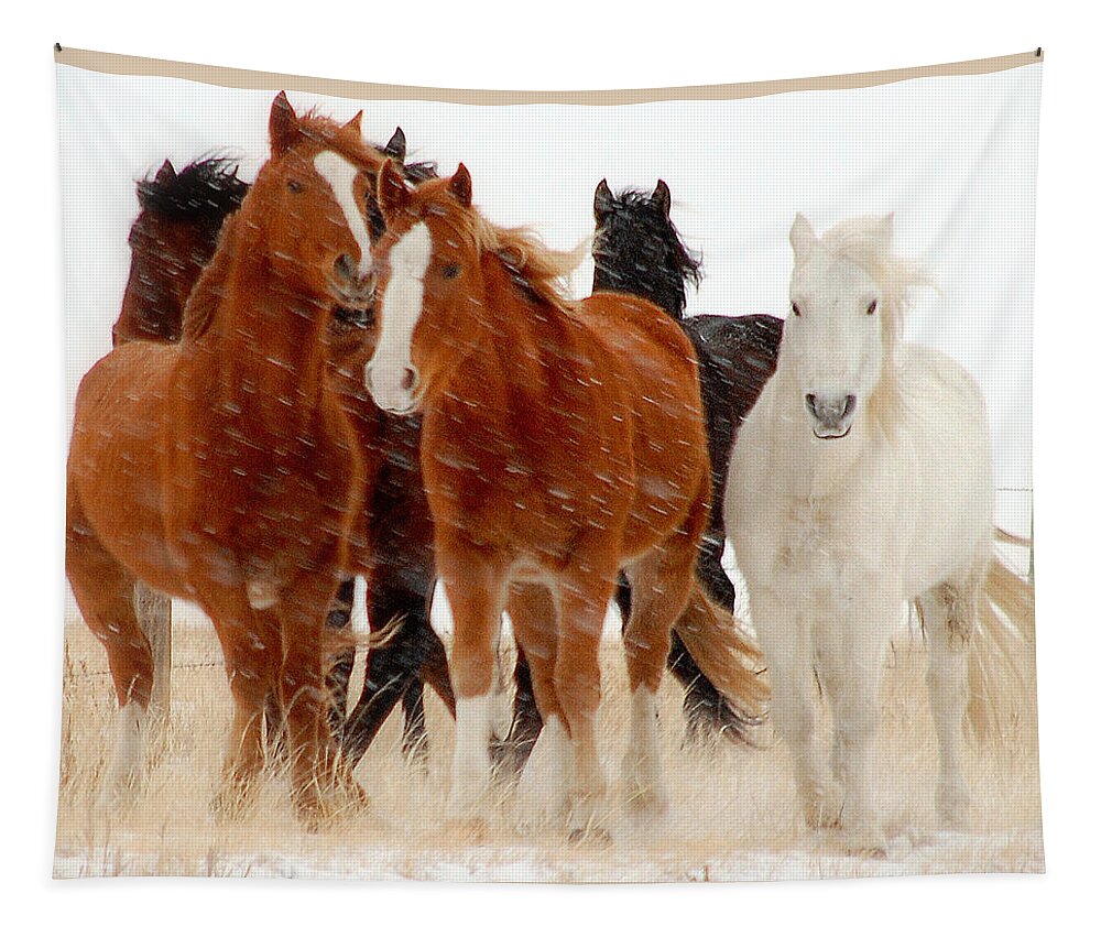 Horse Tapestry featuring the photograph Roaming Free.. by Al Swasey