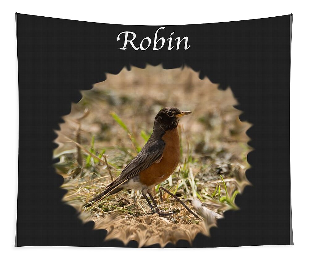 Robin Tapestry featuring the photograph Robin by Holden The Moment